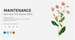 Desktop Screenshot of julietsflower.com