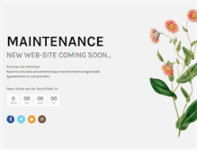 Tablet Screenshot of julietsflower.com
